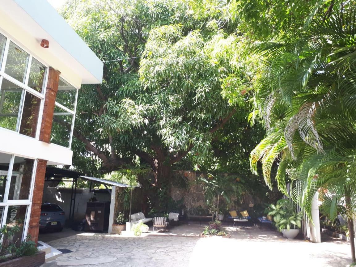 סנטו דומינגו Hotel Alcaldeza - Garden House Maria Guadalupe מראה חיצוני תמונה