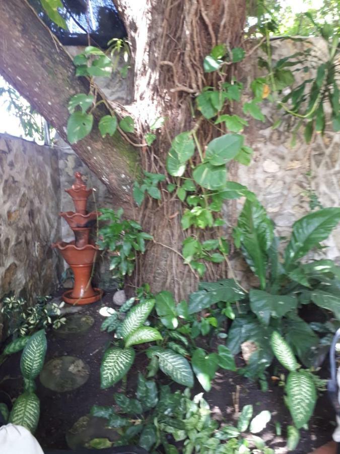 סנטו דומינגו Hotel Alcaldeza - Garden House Maria Guadalupe מראה חיצוני תמונה