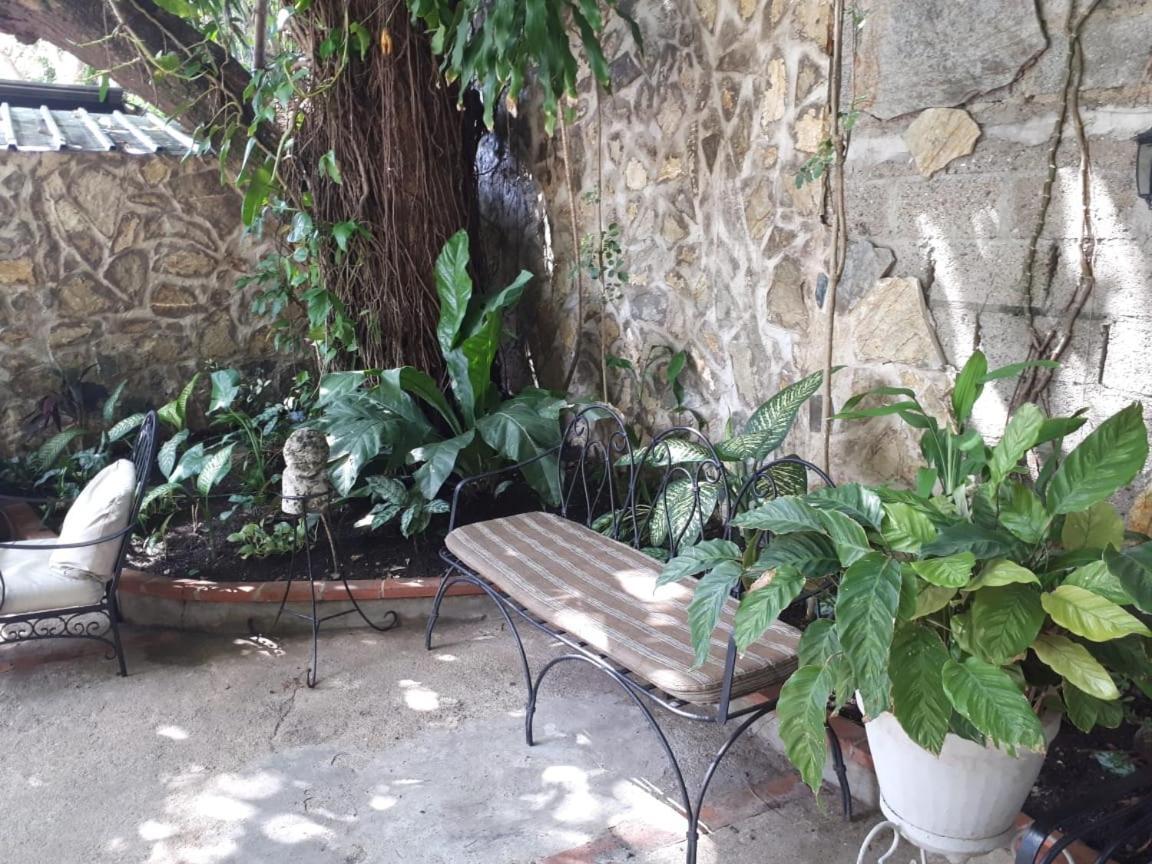 סנטו דומינגו Hotel Alcaldeza - Garden House Maria Guadalupe מראה חיצוני תמונה